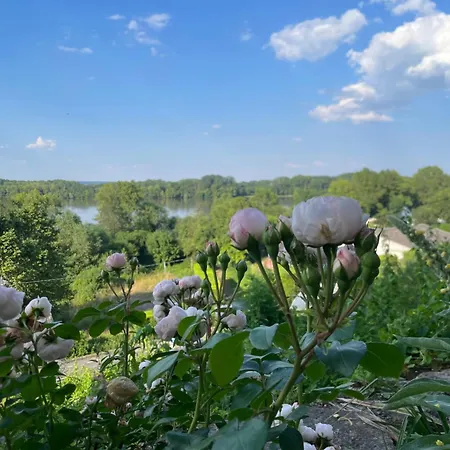 Des Perreyeurs - Maison Troglodyte Avec Vue Sur Loire Дом отдыха Монтзоро