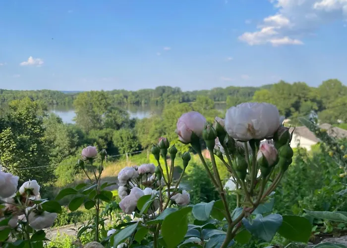 Des Perreyeurs - Maison Troglodyte Avec Vue Sur Loire بيت للعطل مونتسورو