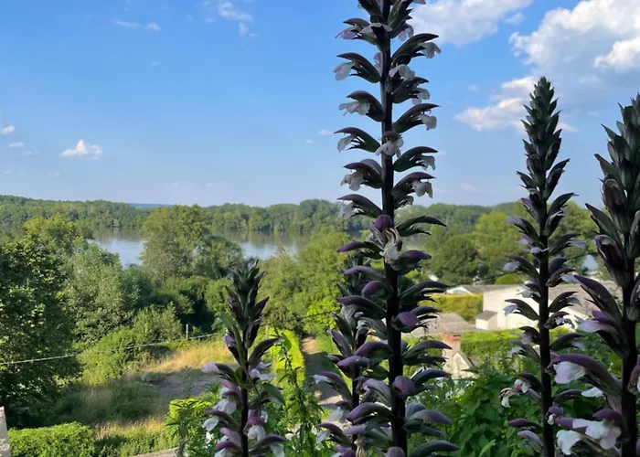 Des Perreyeurs - Maison Troglodyte Avec Vue Sur Loire * مونتسورو